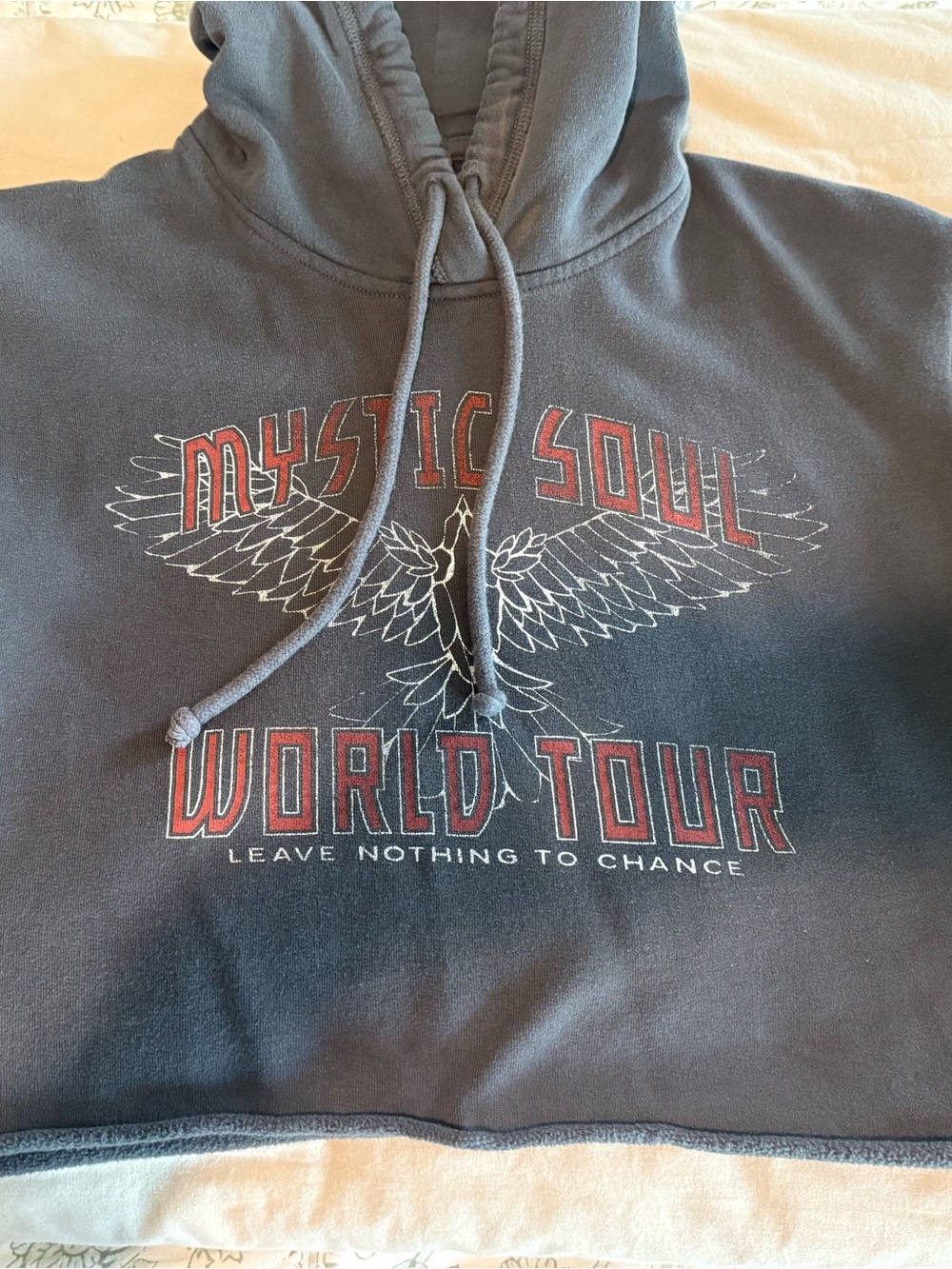 Hollister Charcoal Hoodie with Red Graphic
